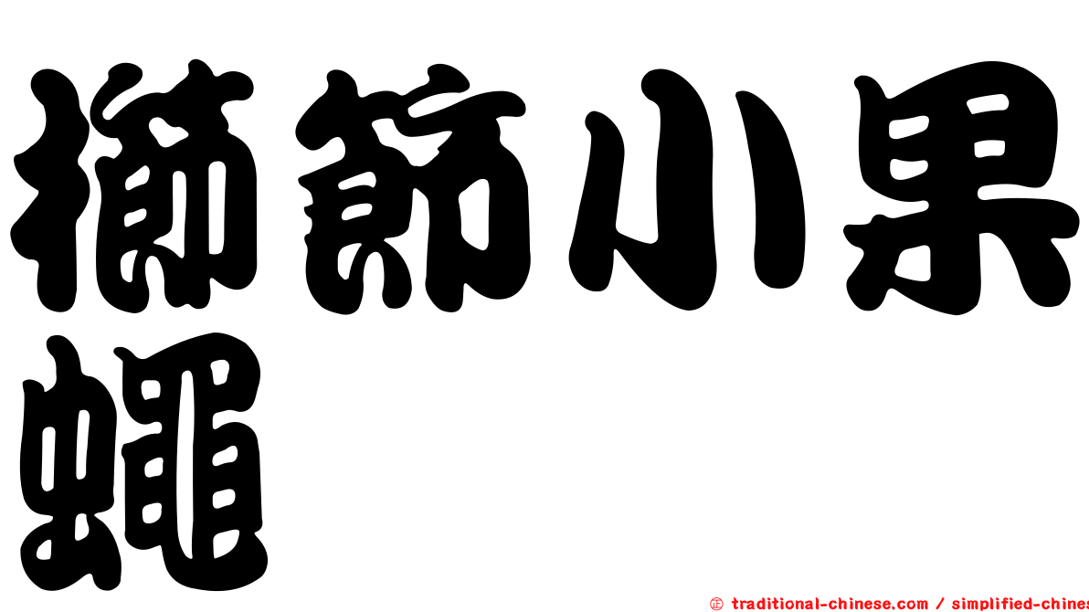 櫛節小果蠅