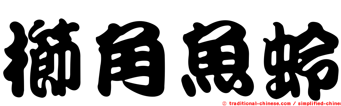 櫛角魚蛉