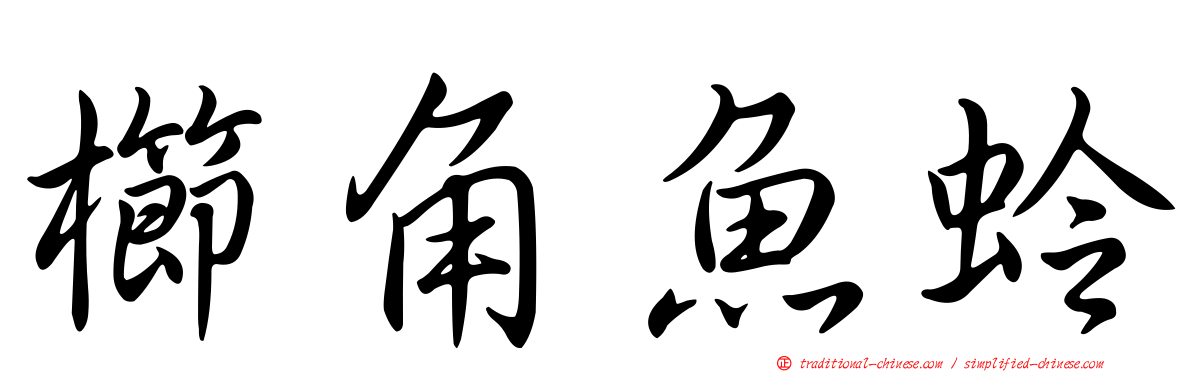 櫛角魚蛉