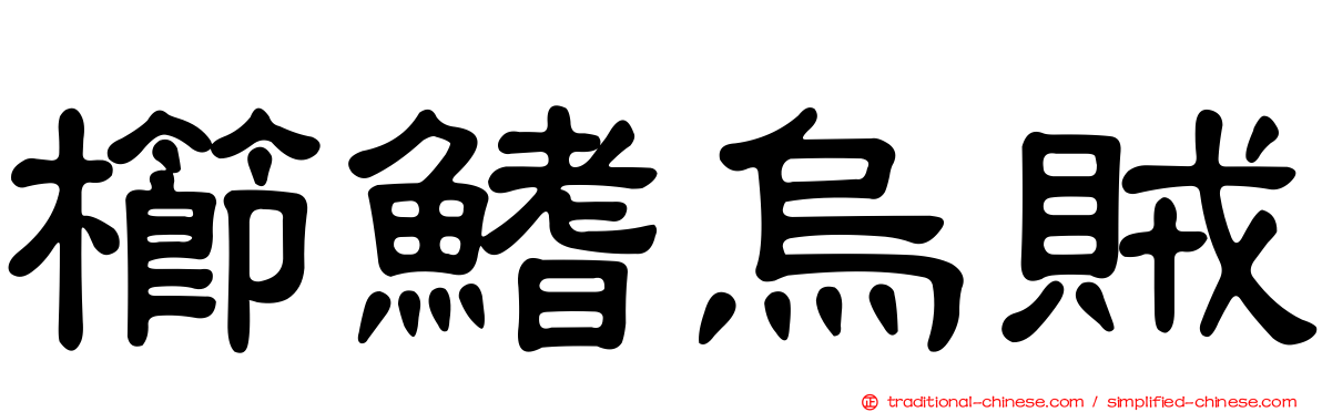 櫛鰭烏賊