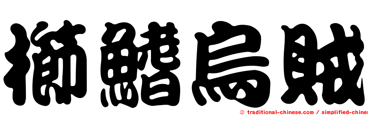 櫛鰭烏賊
