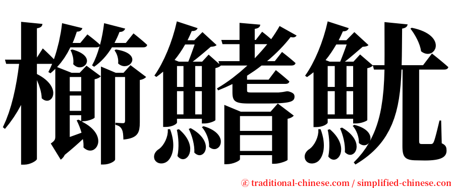 櫛鰭魷 serif font