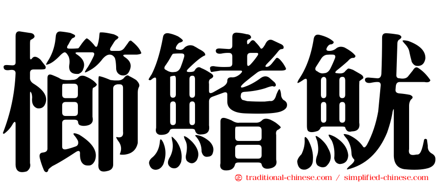 櫛鰭魷