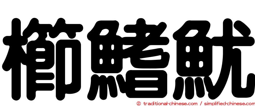 櫛鰭魷