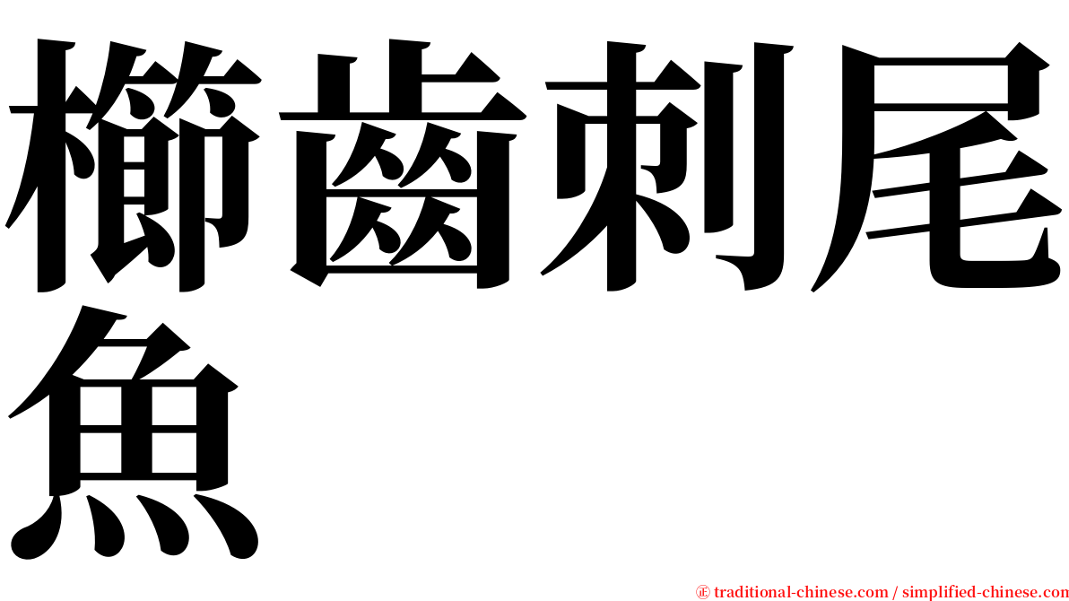 櫛齒刺尾魚 serif font