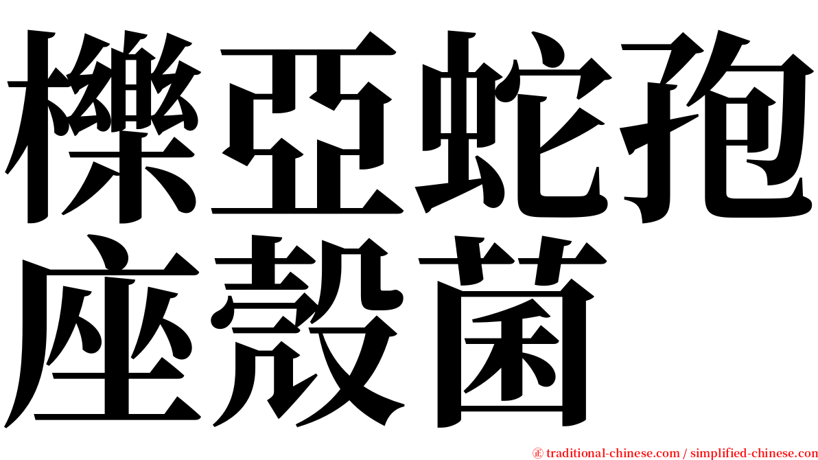 櫟亞蛇孢座殼菌 serif font