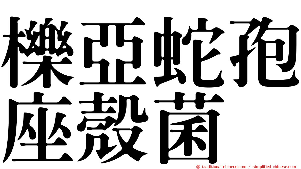 櫟亞蛇孢座殼菌