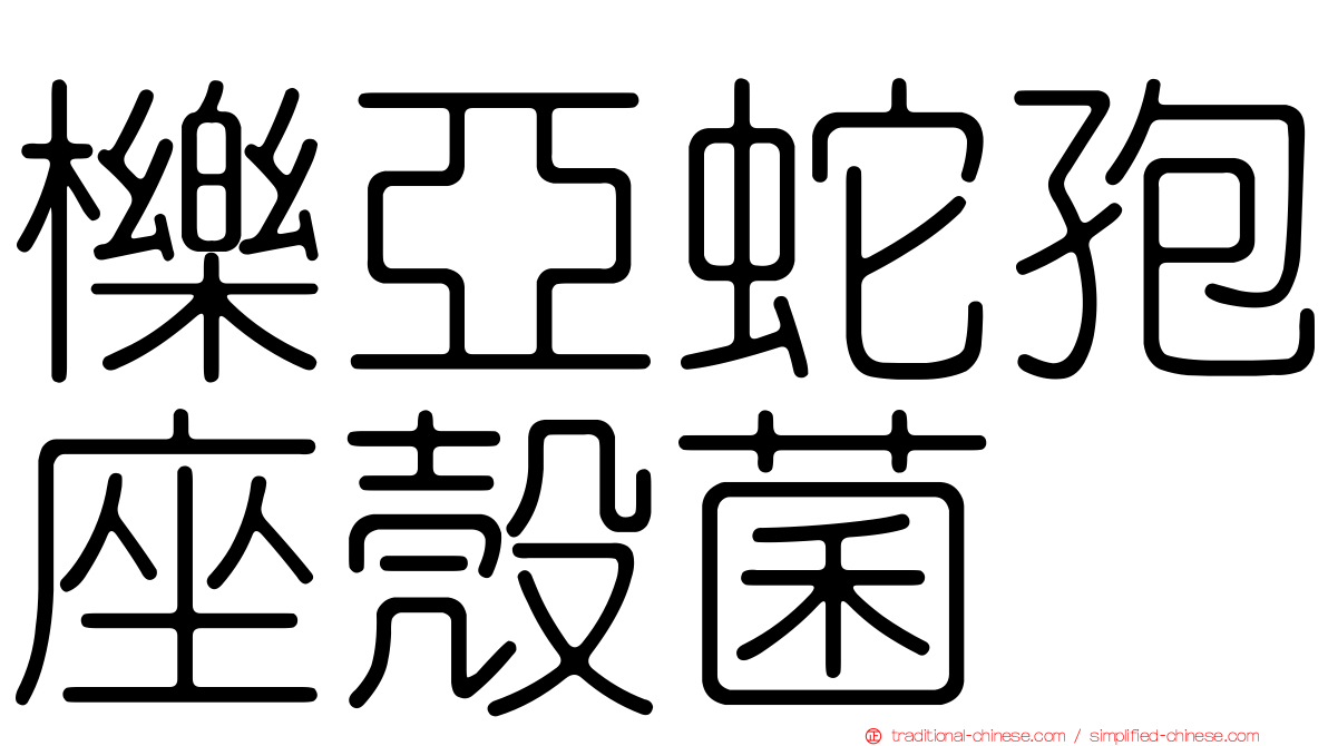 櫟亞蛇孢座殼菌
