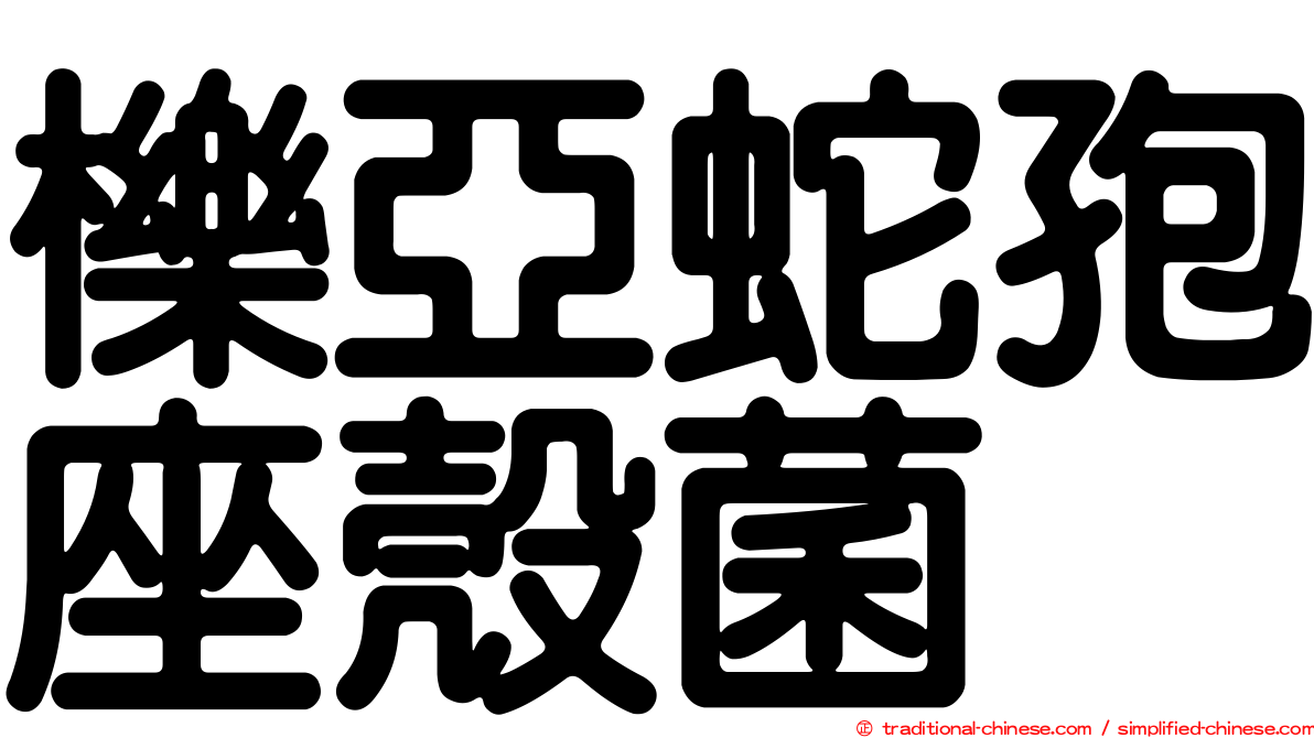 櫟亞蛇孢座殼菌