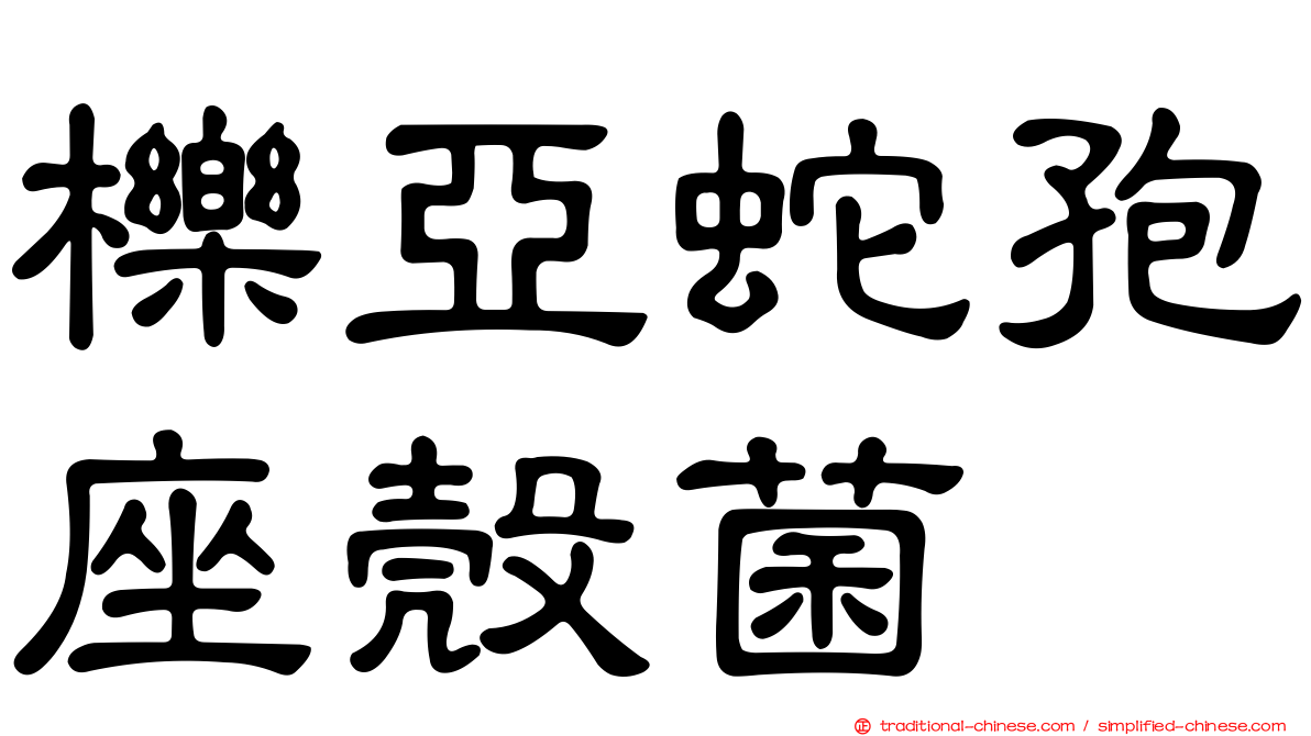 櫟亞蛇孢座殼菌