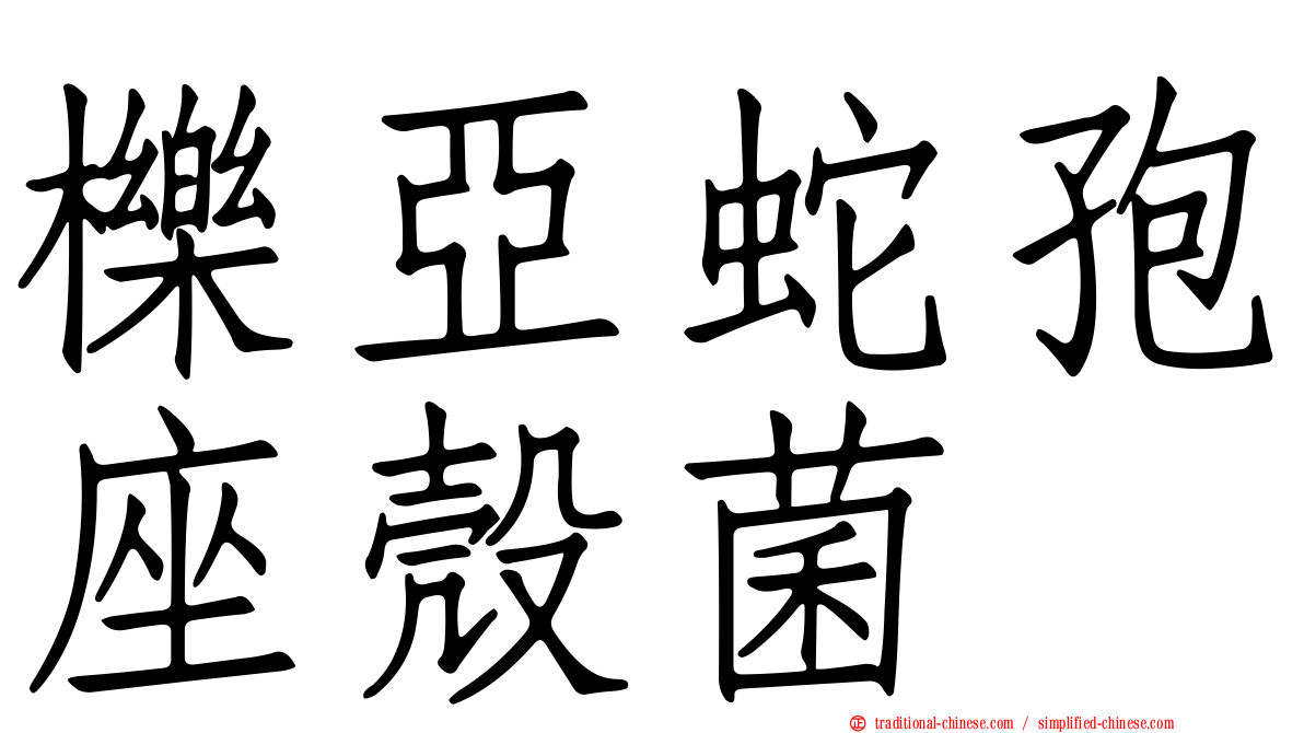 櫟亞蛇孢座殼菌