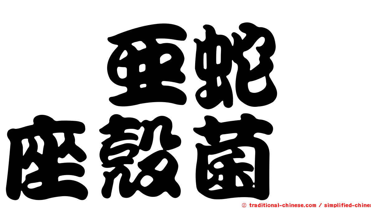櫟亞蛇孢座殼菌