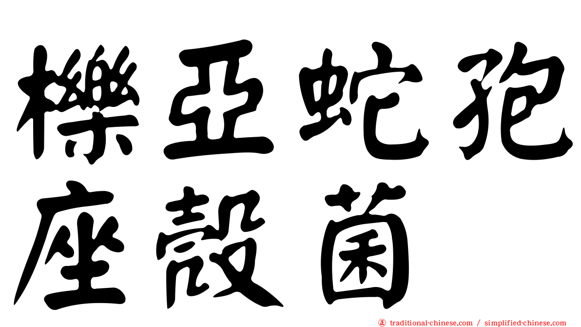 櫟亞蛇孢座殼菌