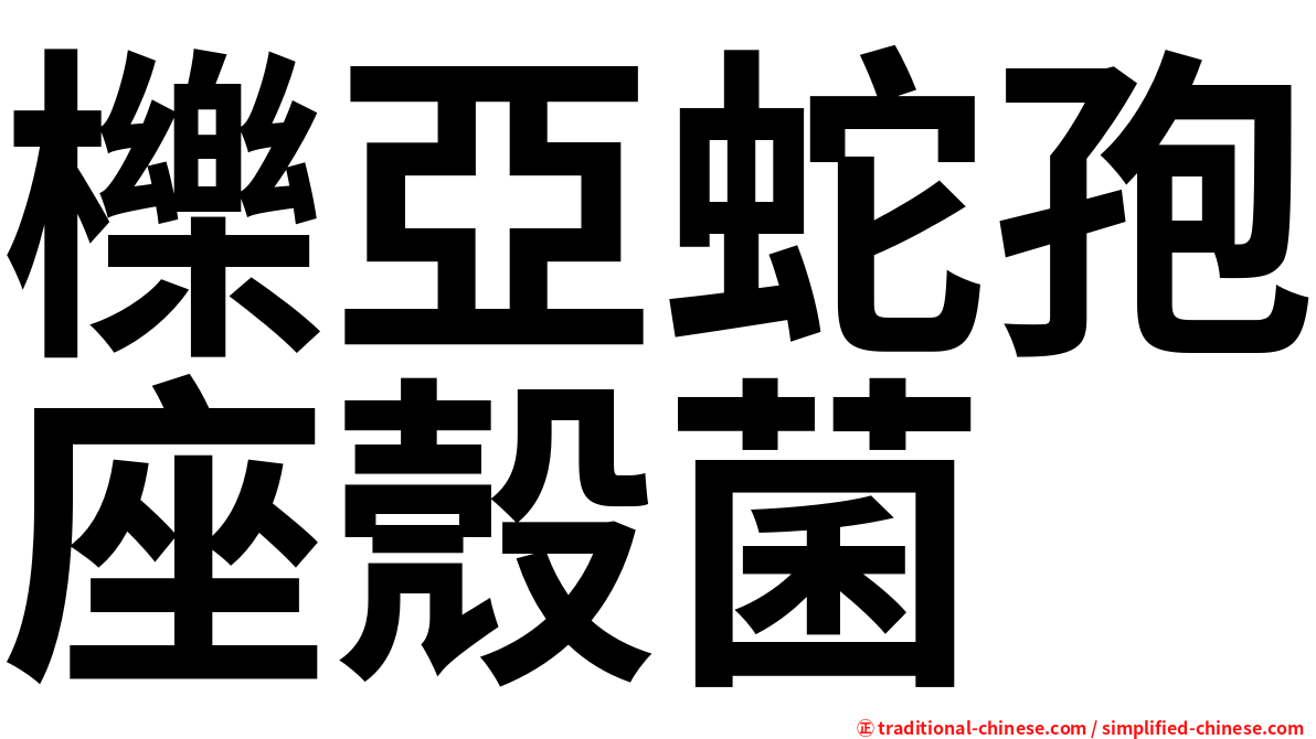 櫟亞蛇孢座殼菌