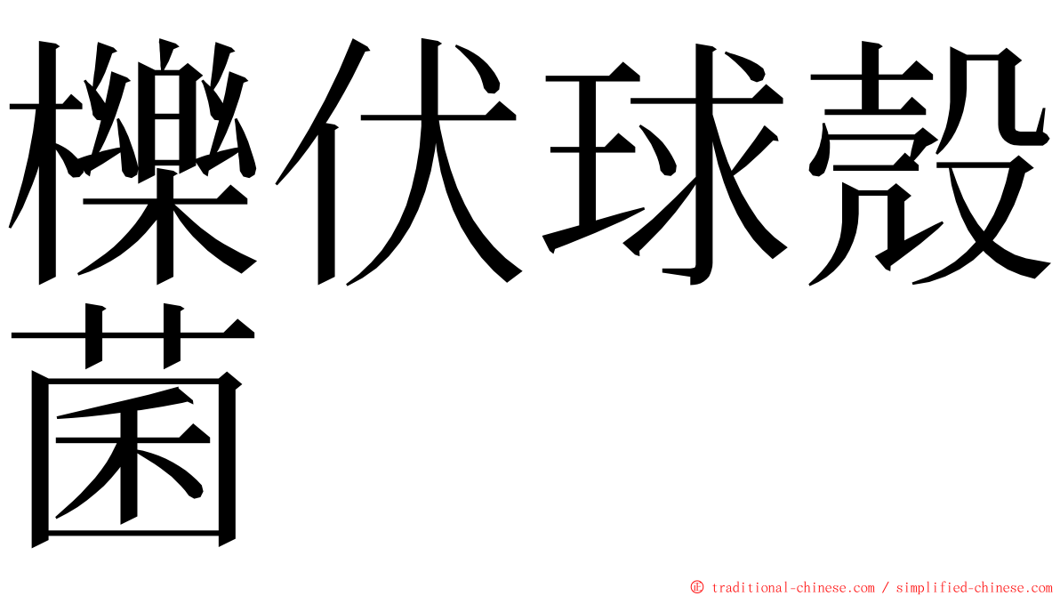 櫟伏球殼菌 ming font