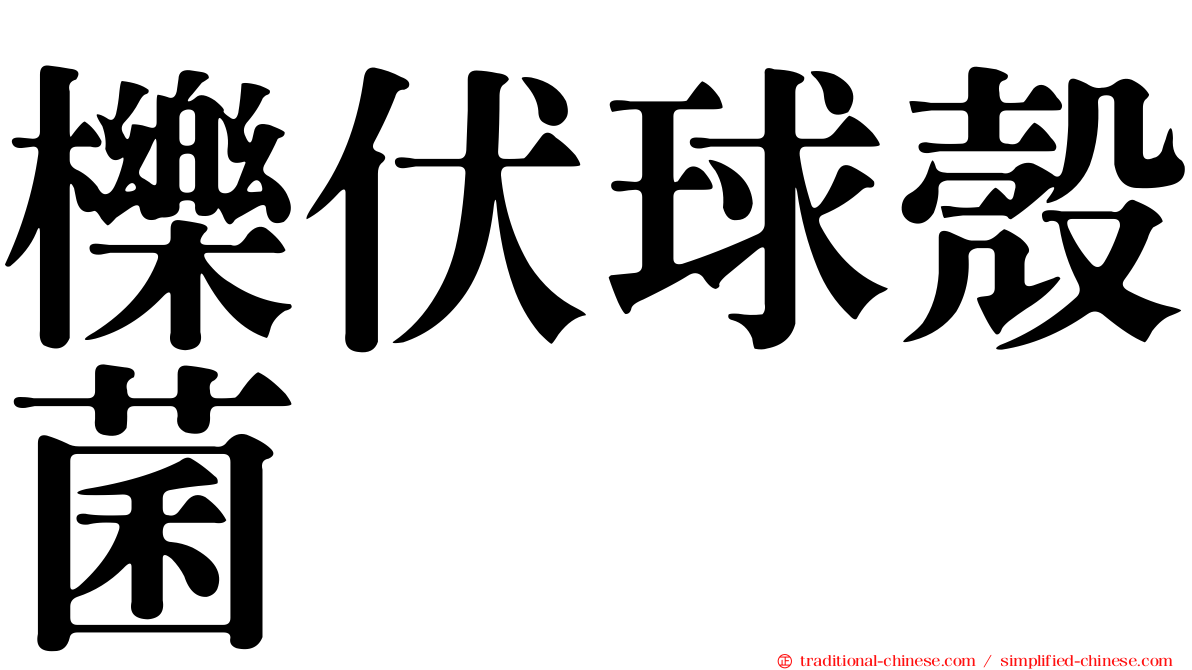 櫟伏球殼菌