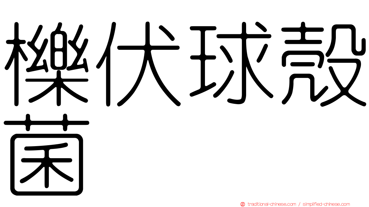 櫟伏球殼菌