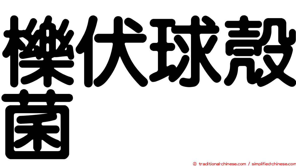 櫟伏球殼菌