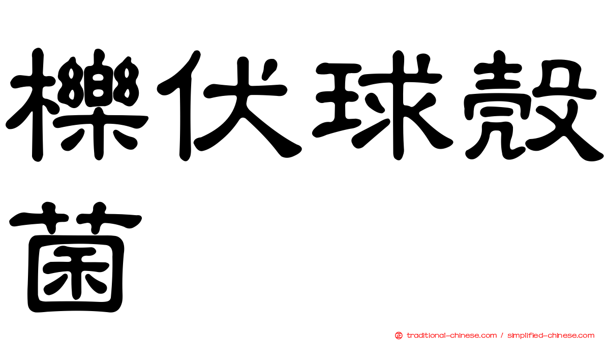 櫟伏球殼菌