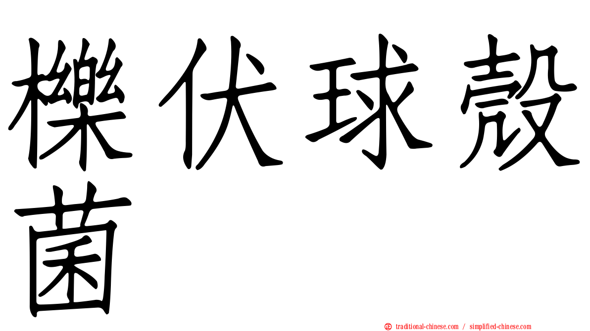 櫟伏球殼菌