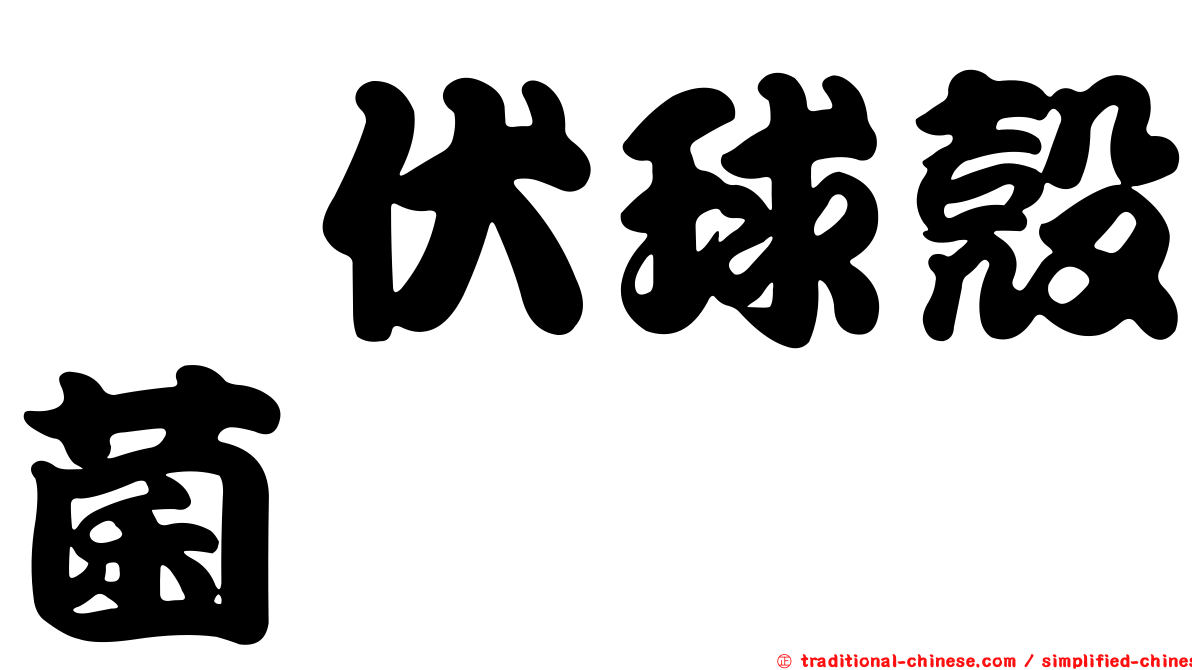 櫟伏球殼菌