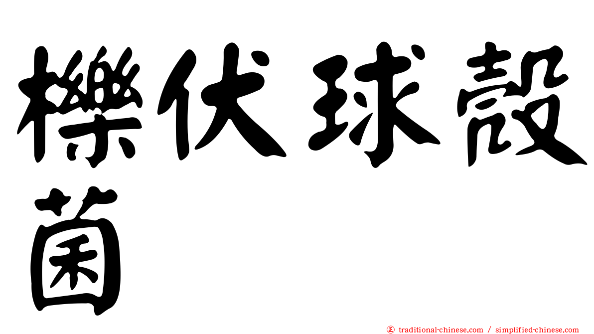 櫟伏球殼菌