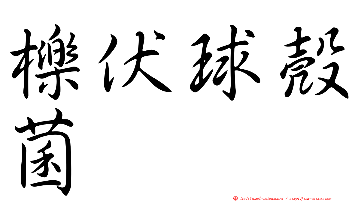 櫟伏球殼菌