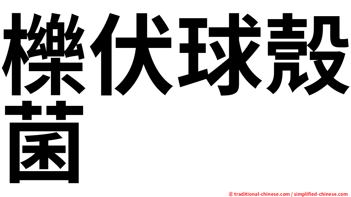櫟伏球殼菌