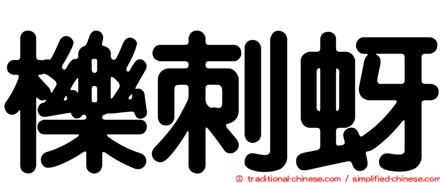 櫟刺蚜