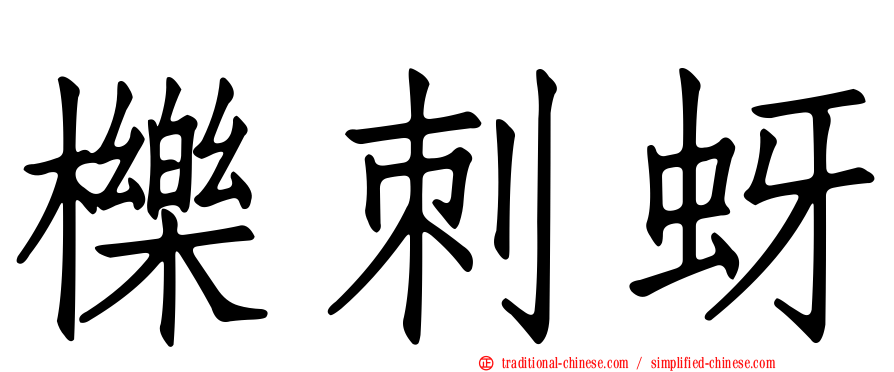 櫟刺蚜