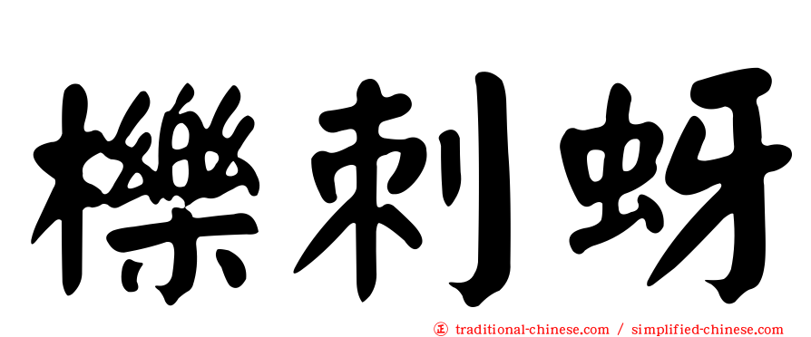 櫟刺蚜