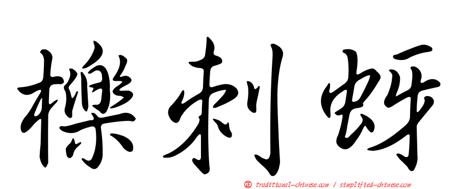 櫟刺蚜