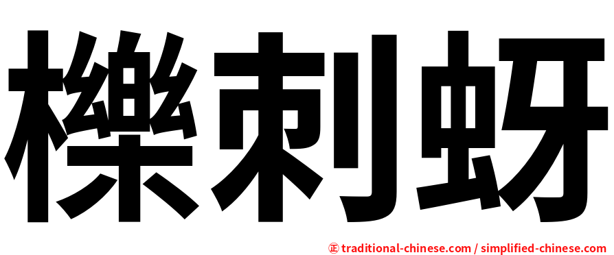 櫟刺蚜