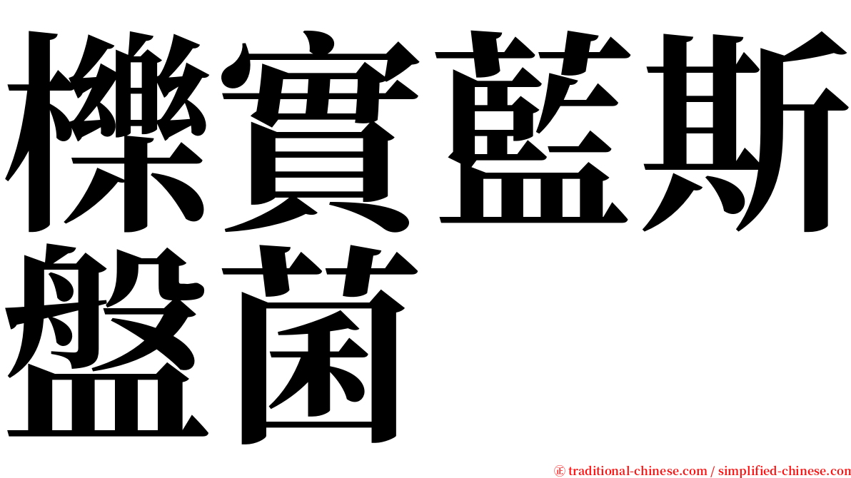 櫟實藍斯盤菌 serif font