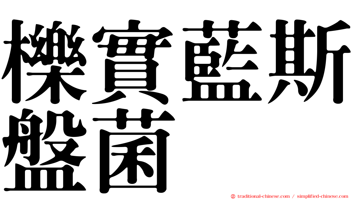 櫟實藍斯盤菌