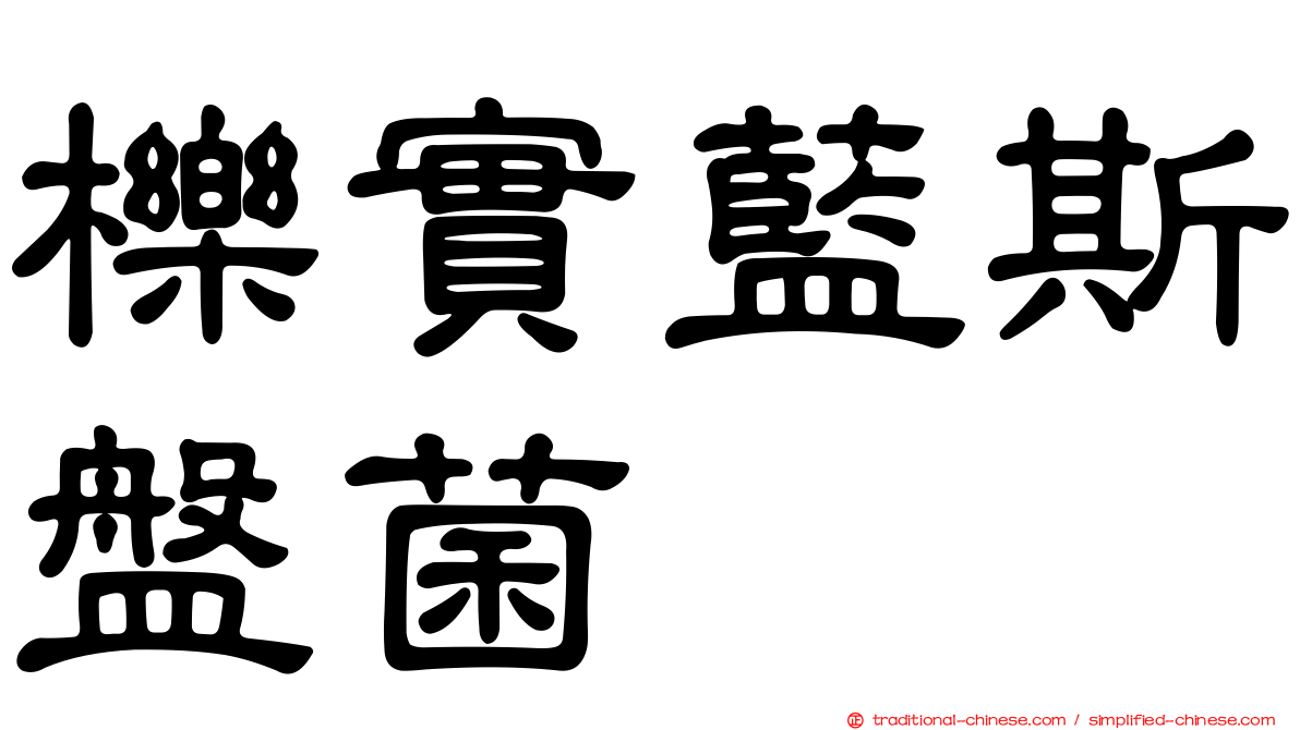櫟實藍斯盤菌