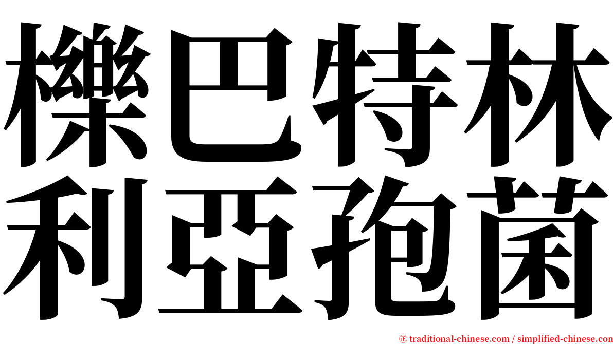櫟巴特林利亞孢菌 serif font