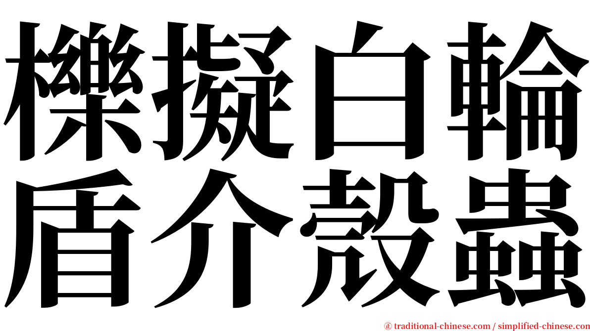 櫟擬白輪盾介殼蟲 serif font