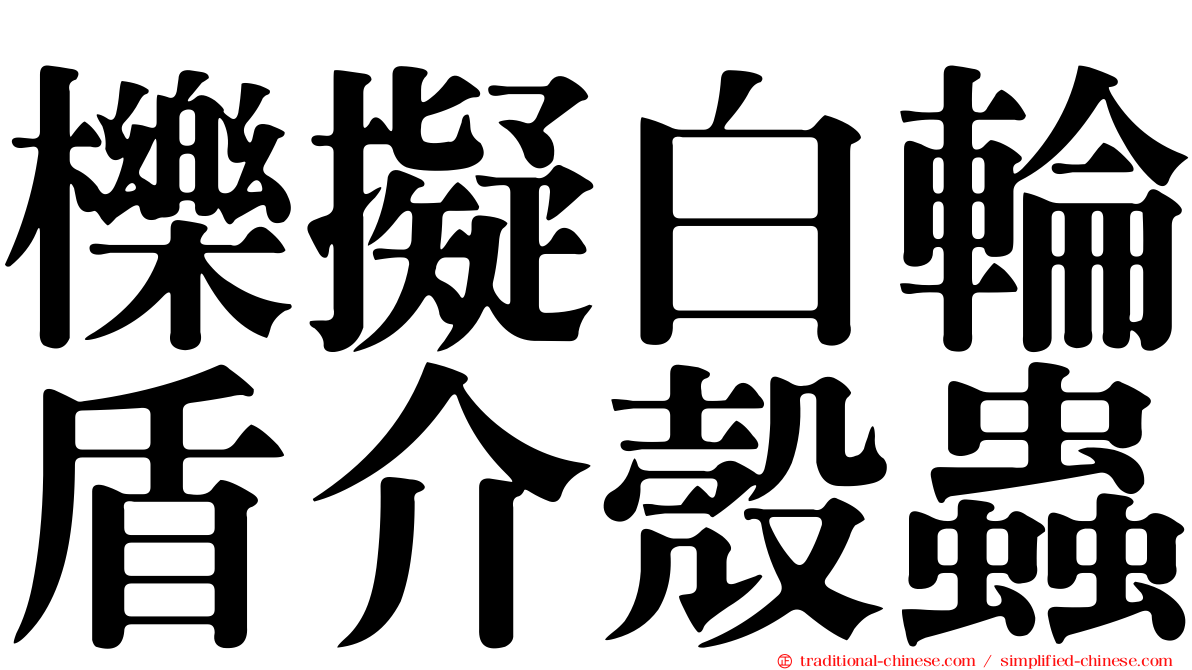 櫟擬白輪盾介殼蟲