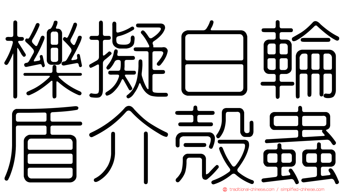 櫟擬白輪盾介殼蟲