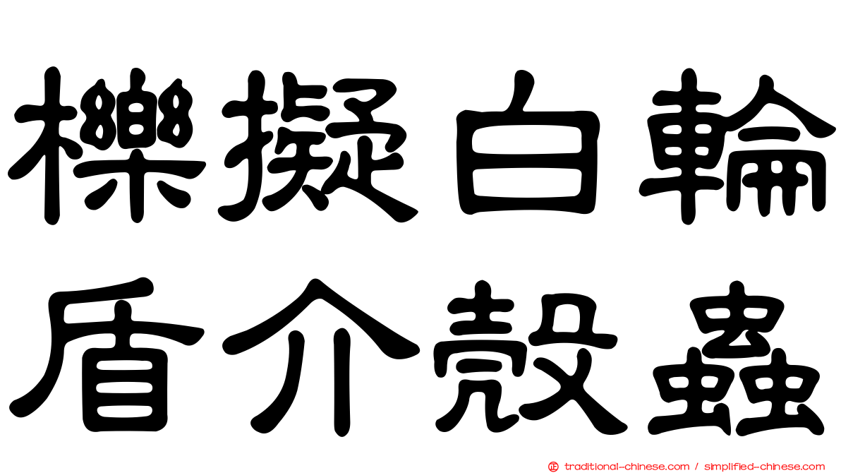 櫟擬白輪盾介殼蟲