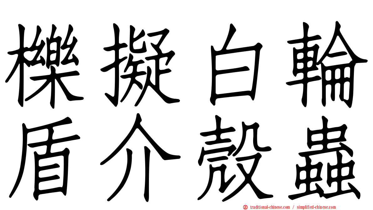 櫟擬白輪盾介殼蟲