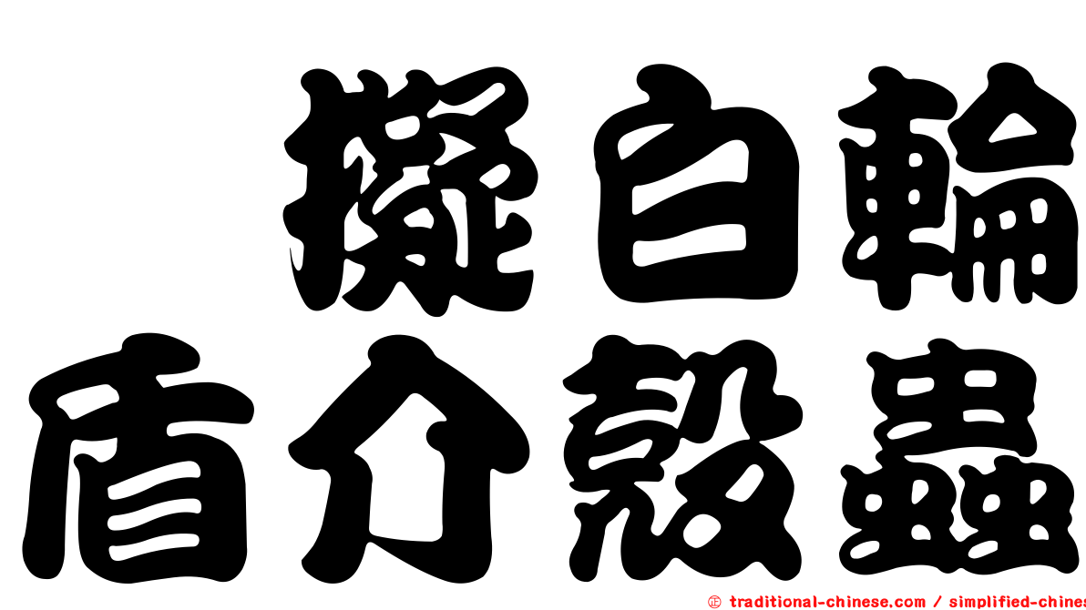 櫟擬白輪盾介殼蟲