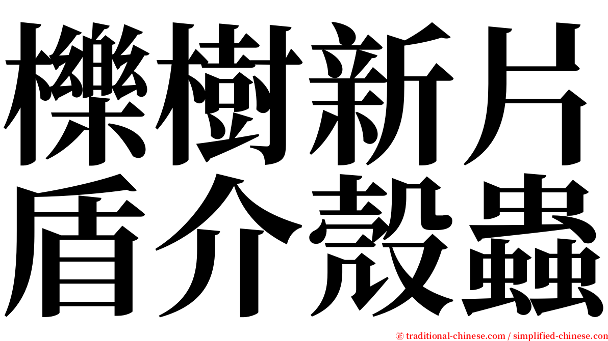 櫟樹新片盾介殼蟲 serif font