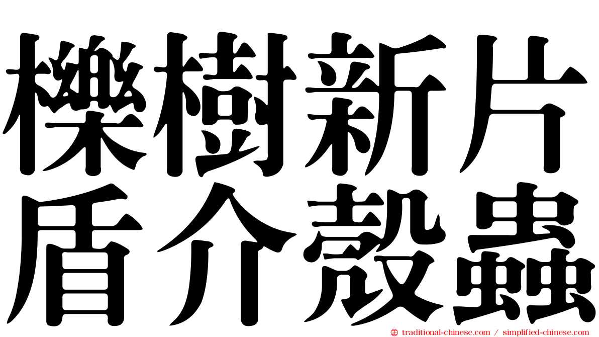 櫟樹新片盾介殼蟲