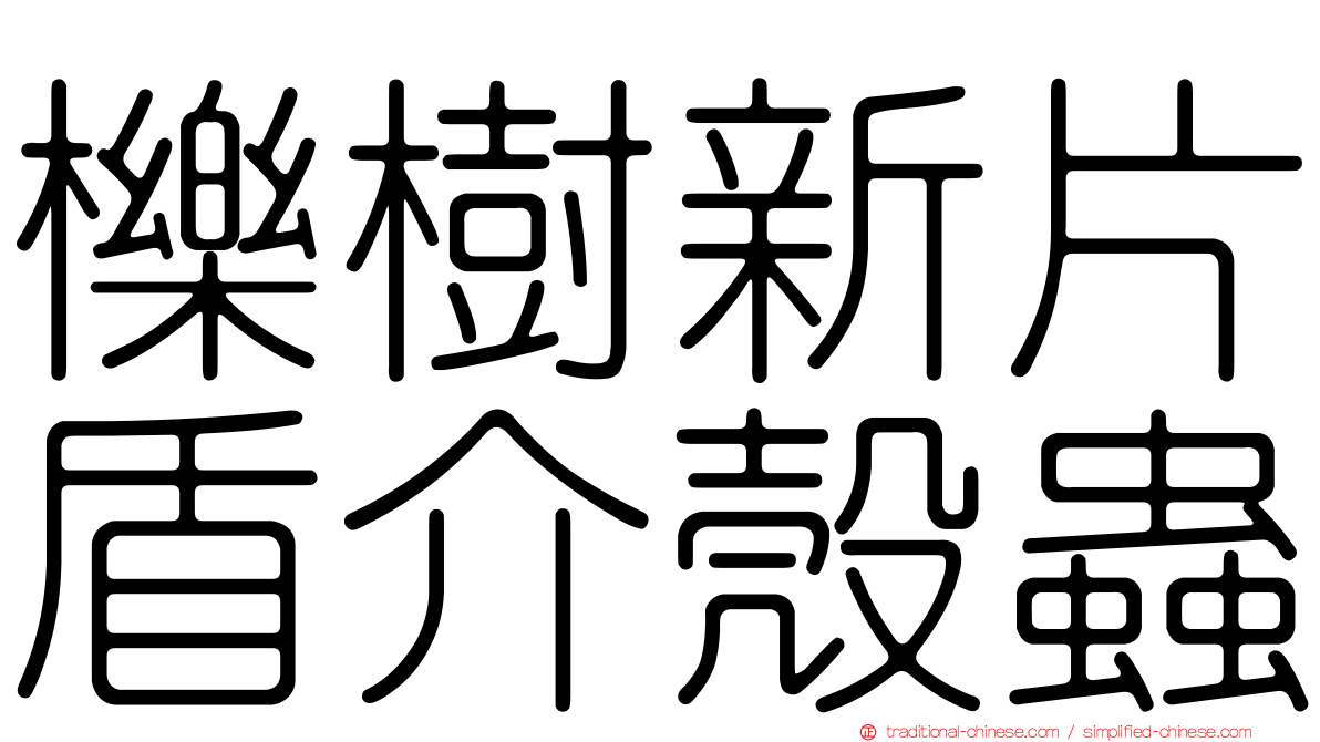 櫟樹新片盾介殼蟲