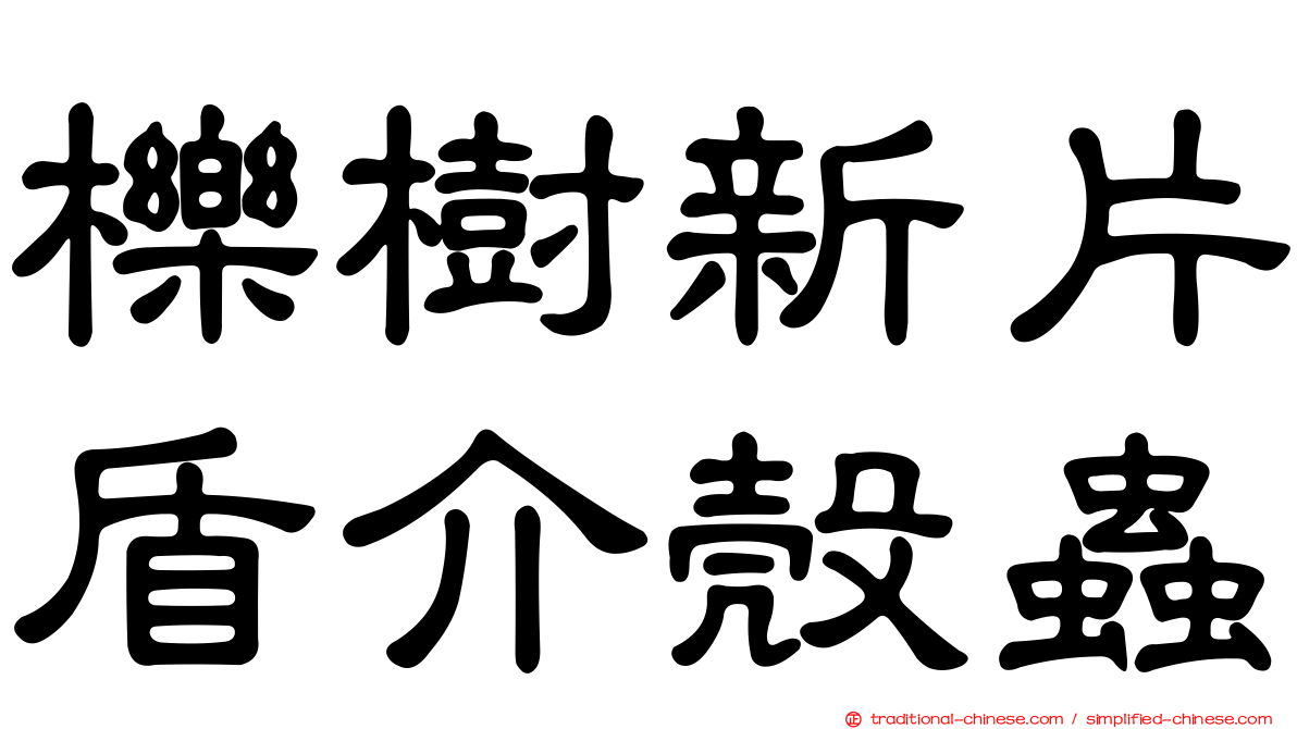 櫟樹新片盾介殼蟲