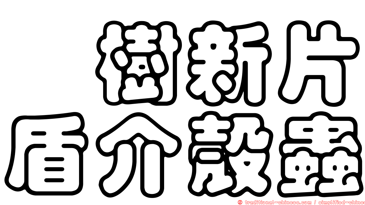 櫟樹新片盾介殼蟲