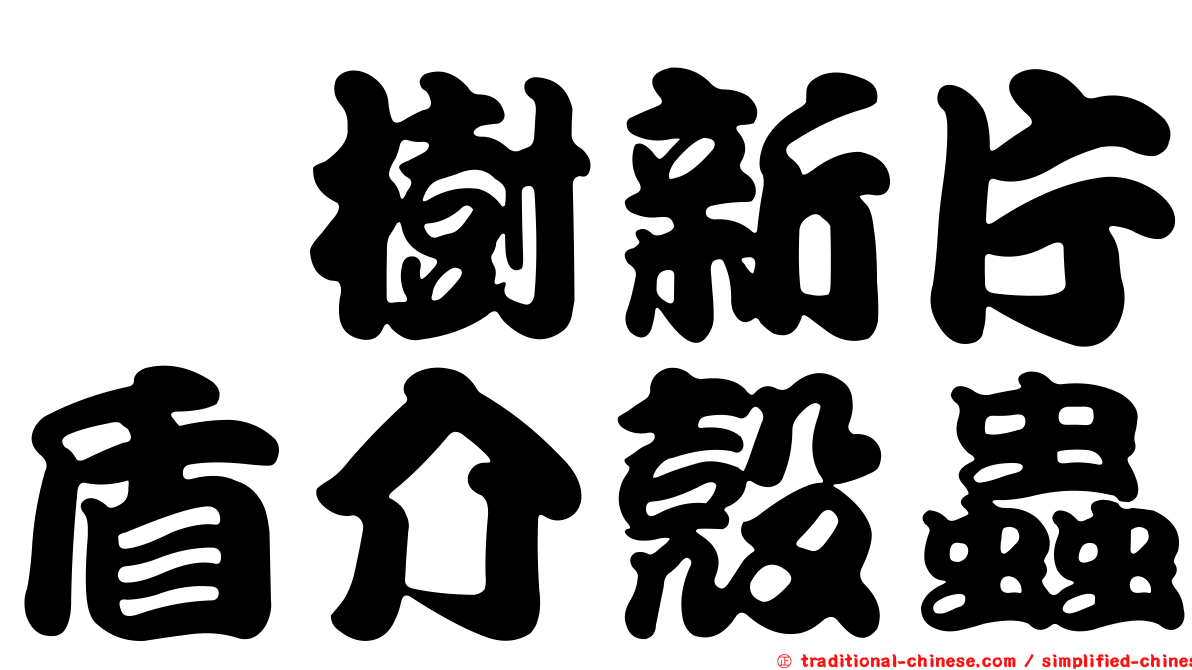 櫟樹新片盾介殼蟲