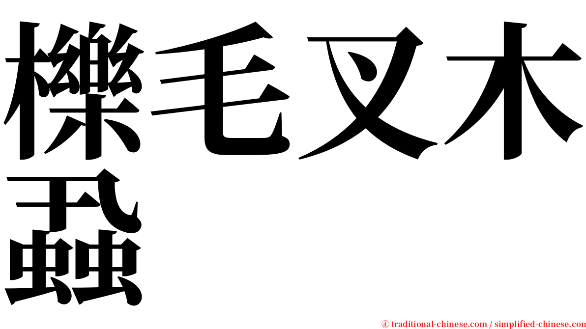 櫟毛叉木蝨 serif font